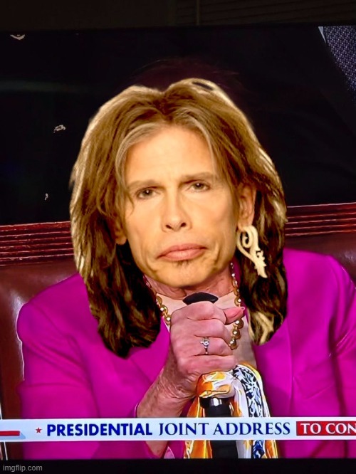 Meanwhile, in Washington | image tagged in nancy pelosi,steven tyler | made w/ Imgflip meme maker