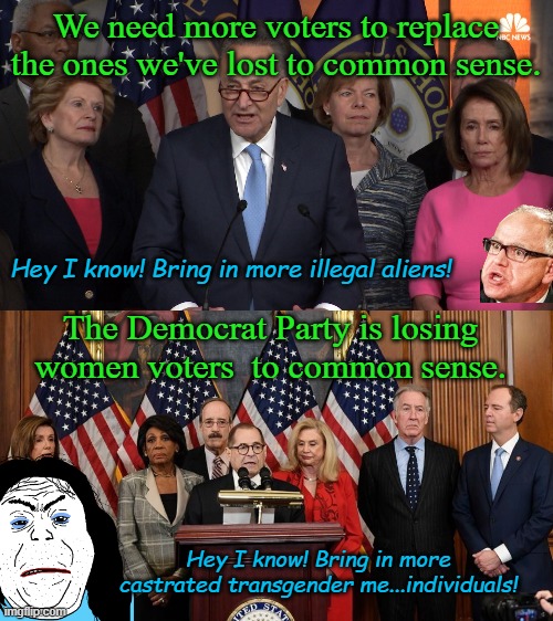 More than meets the eye | We need more voters to replace the ones we've lost to common sense. Hey I know! Bring in more illegal aliens! The Democrat Party is losing women voters  to common sense. Hey I know! Bring in more castrated transgender me...individuals! | image tagged in democrat congressmen,house democrats | made w/ Imgflip meme maker