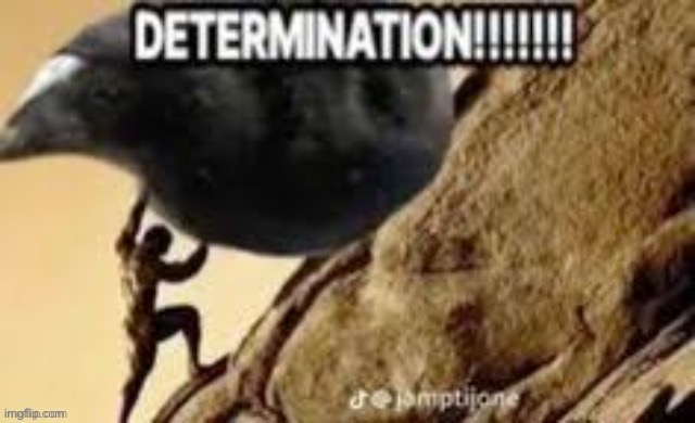 DETERMINATION!!!!!!! | image tagged in determination | made w/ Imgflip meme maker