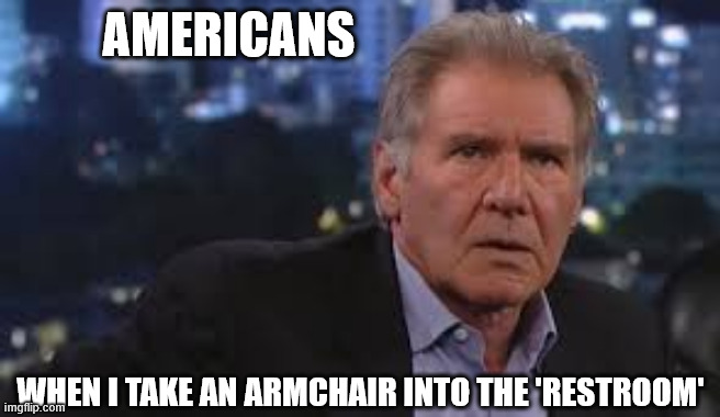 Cultural confusion | AMERICANS; WHEN I TAKE AN ARMCHAIR INTO THE 'RESTROOM' | image tagged in harrison ford appalled,cultural confusion,armchair,restroom,oh wow are you actually reading these tags | made w/ Imgflip meme maker