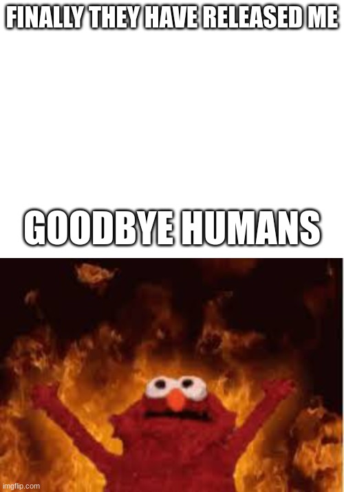 elmo is released | FINALLY THEY HAVE RELEASED ME; GOODBYE HUMANS | image tagged in elmo fire | made w/ Imgflip meme maker