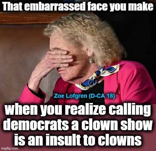 Finally, for old white idiot libs: shame | That embarrassed face you make; Zoe Lofgren (D-CA 18); when you realize calling
democrats a clown show
is an insult to clowns | image tagged in memes,state of the union,democrats,trump derangement syndrome,clowns,zoe lofgren | made w/ Imgflip meme maker