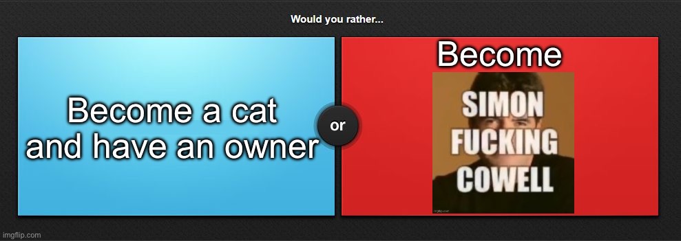 Would you rather | Become; Become a cat and have an owner | image tagged in would you rather | made w/ Imgflip meme maker