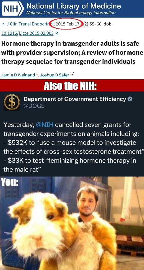 The National Institutes of Health | image tagged in doge,identity politics,health,gender identity | made w/ Imgflip meme maker