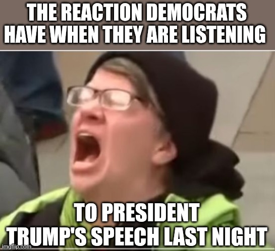 Screaming liberal | THE REACTION DEMOCRATS HAVE WHEN THEY ARE LISTENING; TO PRESIDENT TRUMP'S SPEECH LAST NIGHT | image tagged in screaming liberal | made w/ Imgflip meme maker