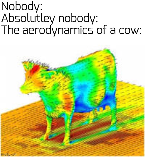 now u kn0w | Nobody:
Absolutley nobody:
The aerodynamics of a cow: | image tagged in aerodynamics of a cow | made w/ Imgflip meme maker