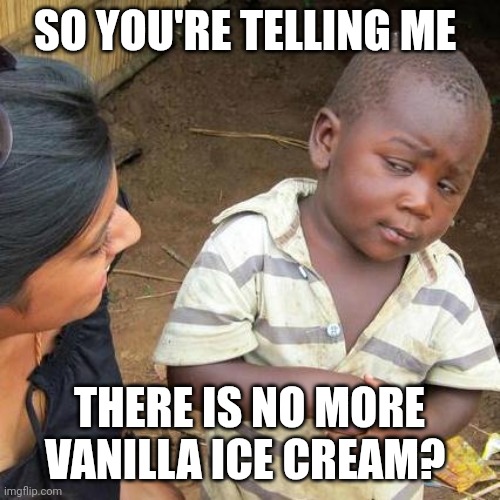 No More Ice Cream | SO YOU'RE TELLING ME; THERE IS NO MORE VANILLA ICE CREAM? | image tagged in memes,third world skeptical kid,funny memes | made w/ Imgflip meme maker