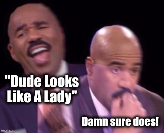 Steve Harvey Laughing Serious | "Dude Looks Like A Lady" Damn sure does! | image tagged in steve harvey laughing serious | made w/ Imgflip meme maker