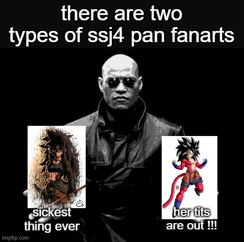 morpheus matrix blue pill red pill | there are two types of ssj4 pan fanarts; sickest thing ever; her tits are out !!! | image tagged in morpheus matrix blue pill red pill | made w/ Imgflip meme maker