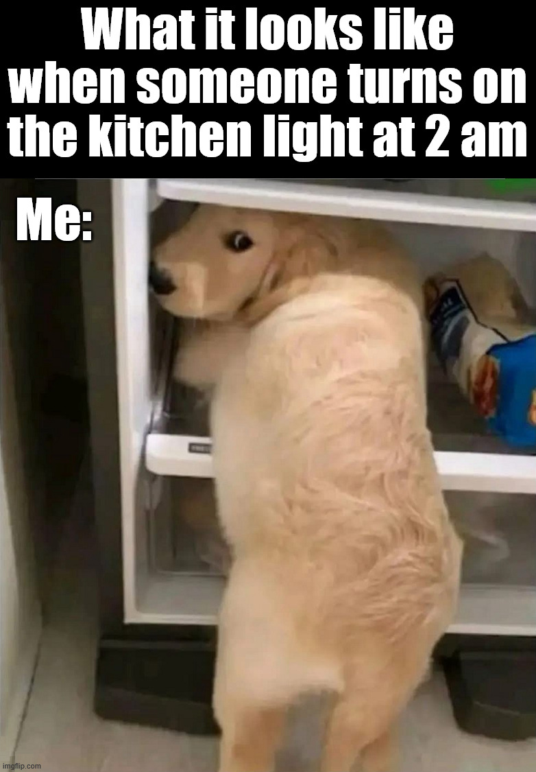 Just a late night snack | What it looks like when someone turns on the kitchen light at 2 am; Me: | image tagged in snacks,gaming,late night,eating,lights | made w/ Imgflip meme maker