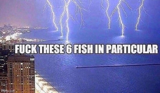 Fuck these 6 fish in particular | image tagged in msmg,fish | made w/ Imgflip meme maker