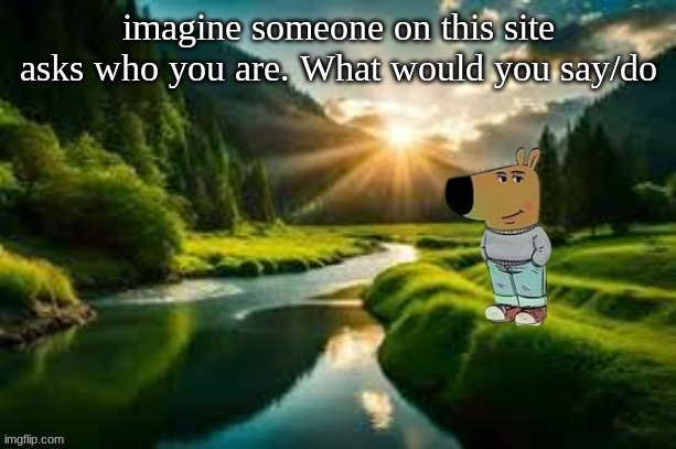 I know someone is going directly to their profile | imagine someone on this site asks who you are. What would you say/do | image tagged in chill guy | made w/ Imgflip meme maker