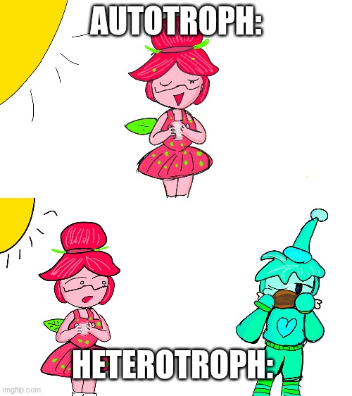 Autotroph vs Heterotroph | AUTOTROPH:; HETEROTROPH: | image tagged in memes | made w/ Imgflip meme maker