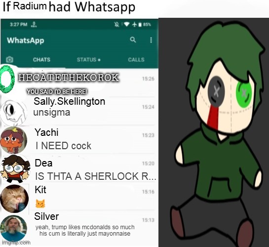 if Radium had Whatsapp | HECATETHEKOROK; YOU SAID I'D BE HERE! | image tagged in if radium had whatsapp | made w/ Imgflip meme maker