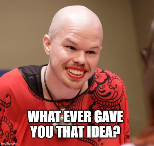 trans | WHAT EVER GAVE YOU THAT IDEA? | image tagged in trans | made w/ Imgflip meme maker