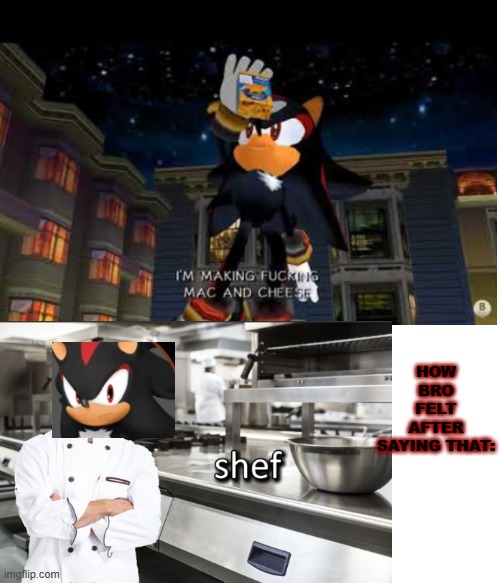 shadow meme i made | HOW BRO FELT AFTER SAYING THAT: | image tagged in shadow the hedgehog,meme man shef | made w/ Imgflip meme maker