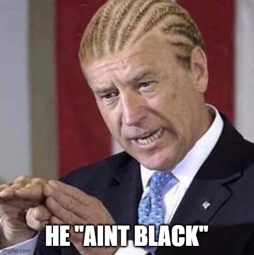 Prezdint B'Iden Doo Nuffin | HE "AINT BLACK" | image tagged in prezdint b'iden doo nuffin | made w/ Imgflip meme maker