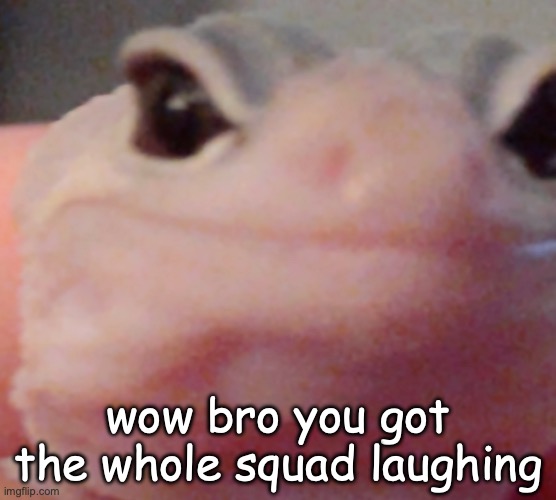 Wow bro you got the whole squad laughing | wow bro you got the whole squad laughing | image tagged in wow bro you got the whole squad laughing | made w/ Imgflip meme maker