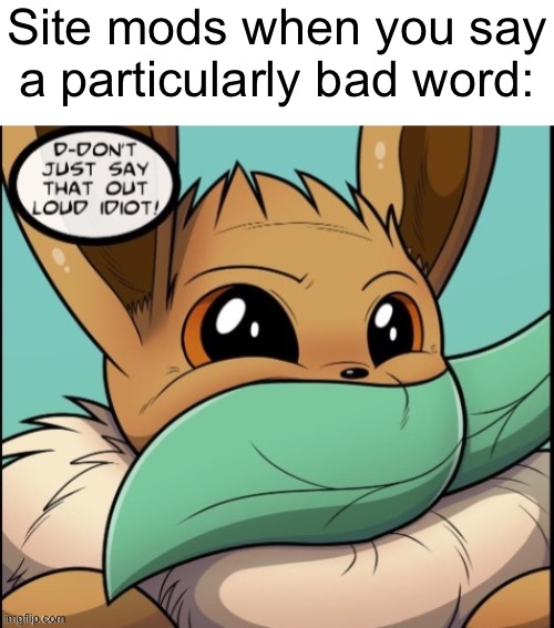 Site mods when you say
a particularly bad word: | made w/ Imgflip meme maker