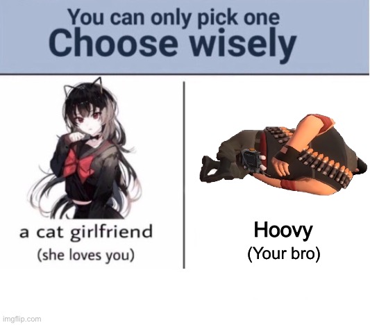 Choose wisely | Hoovy; (Your bro) | image tagged in choose wisely,msmg | made w/ Imgflip meme maker