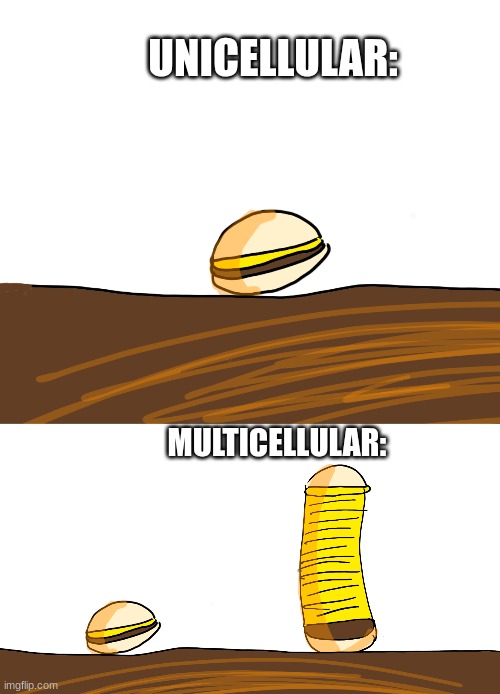 Unicellular vs Mutlicellular | UNICELLULAR:; MULTICELLULAR: | image tagged in citizen science | made w/ Imgflip meme maker