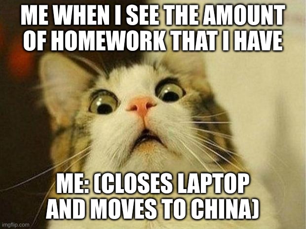 Scared Cat | ME WHEN I SEE THE AMOUNT OF HOMEWORK THAT I HAVE; ME: (CLOSES LAPTOP AND MOVES TO CHINA) | image tagged in memes,scared cat | made w/ Imgflip meme maker