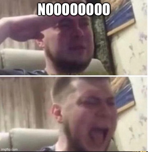 Crying salute | NOOOOOOOO | image tagged in crying salute | made w/ Imgflip meme maker