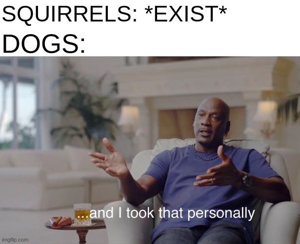 Confirmed Title | SQUIRRELS: *EXIST*; DOGS: | image tagged in and i took that personally,memes,dogs,animals,squirrels,funny | made w/ Imgflip meme maker