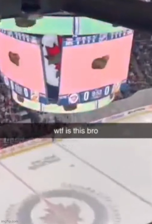 That fuckass cat got onto the Jumbotron in Winnipeg | made w/ Imgflip meme maker