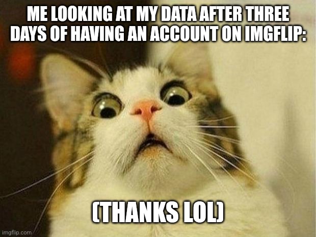 thanks for viewing my memes | ME LOOKING AT MY DATA AFTER THREE DAYS OF HAVING AN ACCOUNT ON IMGFLIP:; (THANKS LOL) | image tagged in memes,scared cat,appreciation | made w/ Imgflip meme maker