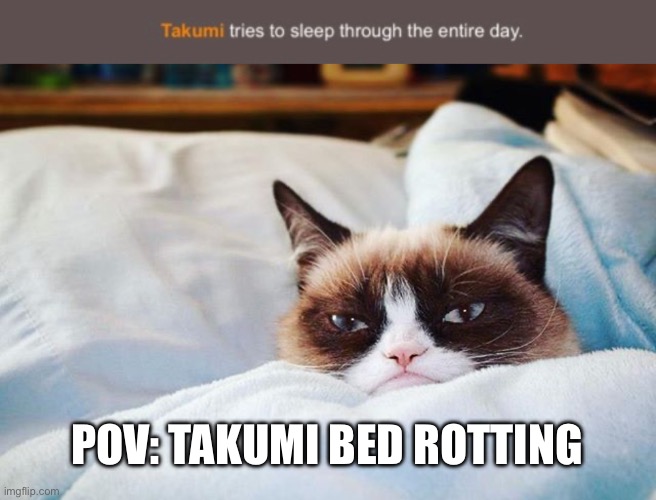 LGBTQ Hunger games #5 | POV: TAKUMI BED ROTTING | image tagged in grumpy cat bed | made w/ Imgflip meme maker