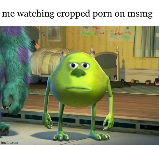 Mike Wazowski Bruh | me watching cropped porn on msmg | image tagged in mike wazowski bruh | made w/ Imgflip meme maker