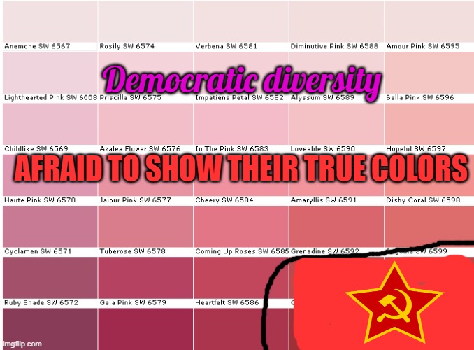 Democratic diversity AFRAID TO SHOW THEIR TRUE COLORS | made w/ Imgflip meme maker