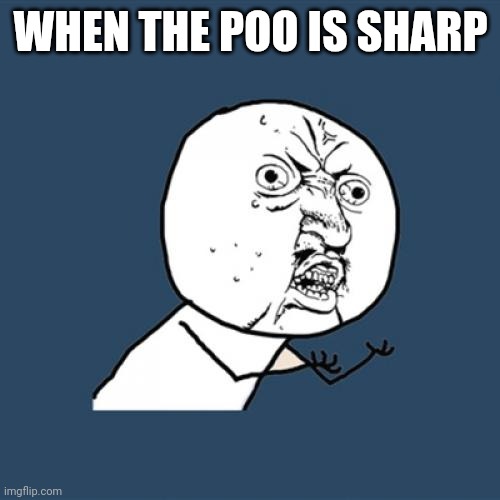 Y U No Meme | WHEN THE POO IS SHARP | image tagged in memes,y u no | made w/ Imgflip meme maker