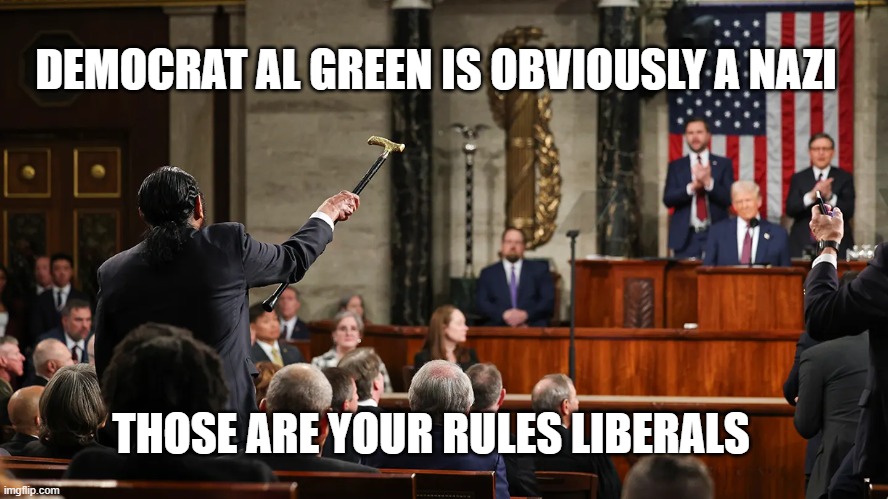 DEMOCRAT AL GREEN IS OBVIOUSLY A NAZI; THOSE ARE YOUR RULES LIBERALS | made w/ Imgflip meme maker