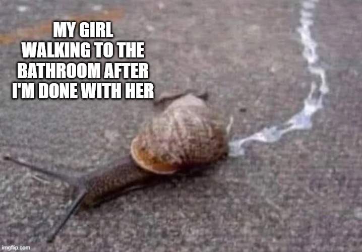 Oozing | MY GIRL WALKING TO THE BATHROOM AFTER I'M DONE WITH HER | image tagged in sex jokes | made w/ Imgflip meme maker