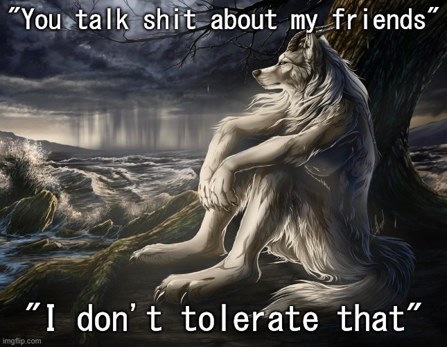 Sitting Wolf | "You talk shit about my friends" "I don't tolerate that" | image tagged in sitting wolf | made w/ Imgflip meme maker