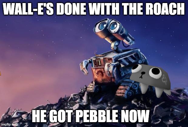 Wall-E | WALL-E'S DONE WITH THE ROACH; HE GOT PEBBLE NOW | image tagged in wall-e | made w/ Imgflip meme maker