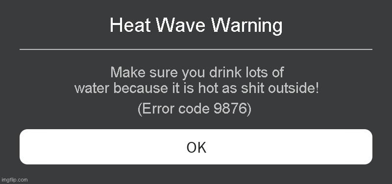 Heat Wave Warning Roblox Error code | Heat Wave Warning; Make sure you drink lots of water because it is hot as shit outside! (Error code 9876) | image tagged in roblox error message | made w/ Imgflip meme maker