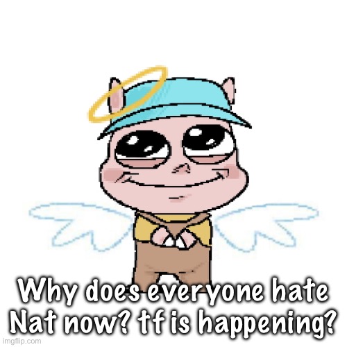 Completely bullshit drama I should’ve avoided: | Why does everyone hate Nat now? tf is happening? | image tagged in pony ginuwine pony ginuwine pony ginuwine pony ginuwine pony | made w/ Imgflip meme maker