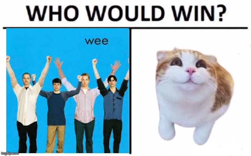 WeeCat | image tagged in memes,who would win,funny | made w/ Imgflip meme maker