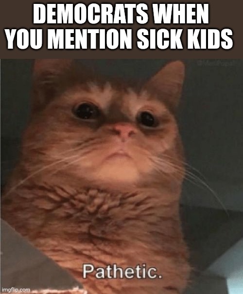 Pathetic Cat | DEMOCRATS WHEN YOU MENTION SICK KIDS | image tagged in pathetic cat,funny memes | made w/ Imgflip meme maker