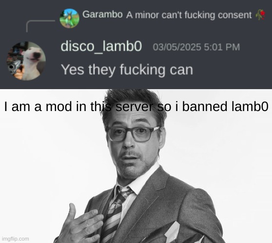 I am a mod in this server so i banned lamb0 | image tagged in robert downey jr's comments | made w/ Imgflip meme maker