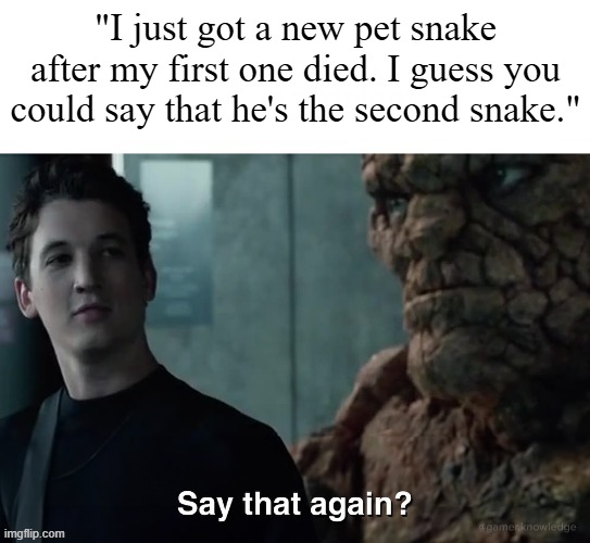 Say that again? | "I just got a new pet snake after my first one died. I guess you could say that he's the second snake." | image tagged in say that again | made w/ Imgflip meme maker