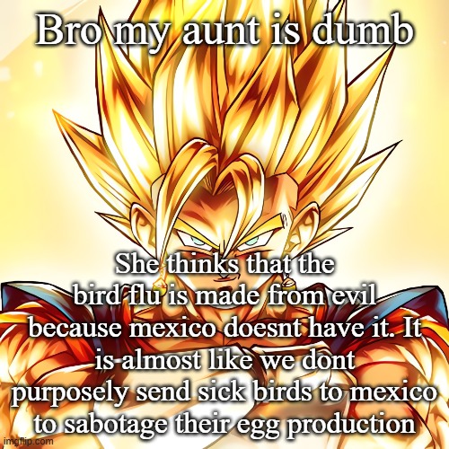 Vegito stanced tf up | Bro my aunt is dumb; She thinks that the bird flu is made from evil because mexico doesnt have it. It is almost like we dont purposely send sick birds to mexico to sabotage their egg production | image tagged in vegito stanced tf up | made w/ Imgflip meme maker