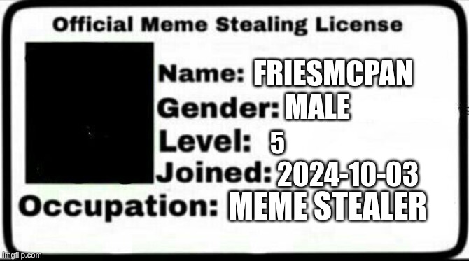 Meme Stealing License | FRIESMCPAN MALE 5 2024-10-03 MEME STEALER | image tagged in meme stealing license | made w/ Imgflip meme maker