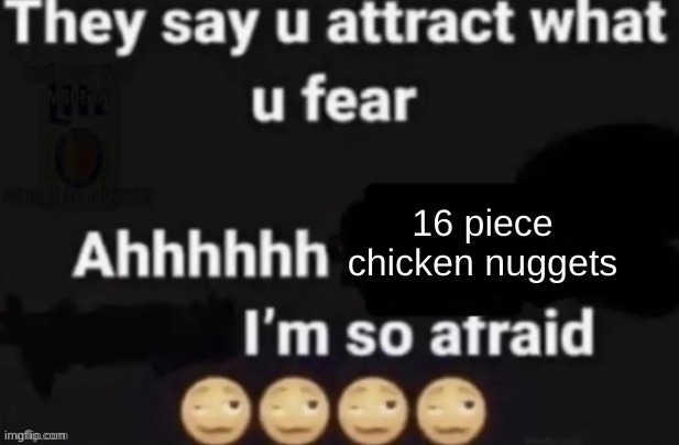 They say you attract what you fear | 16 piece chicken nuggets | image tagged in they say you attract what you fear | made w/ Imgflip meme maker