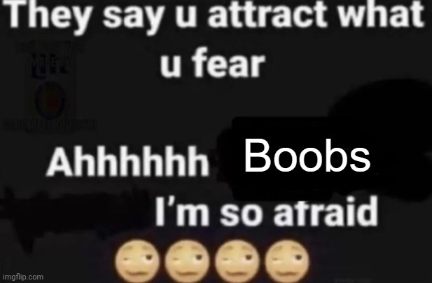 They say you attract what you fear | Boobs | image tagged in they say you attract what you fear | made w/ Imgflip meme maker