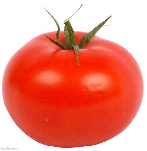 TOMATO? | image tagged in tomato | made w/ Imgflip meme maker