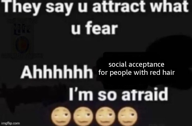 yes this is real | social acceptance for people with red hair | image tagged in they say you attract what you fear | made w/ Imgflip meme maker